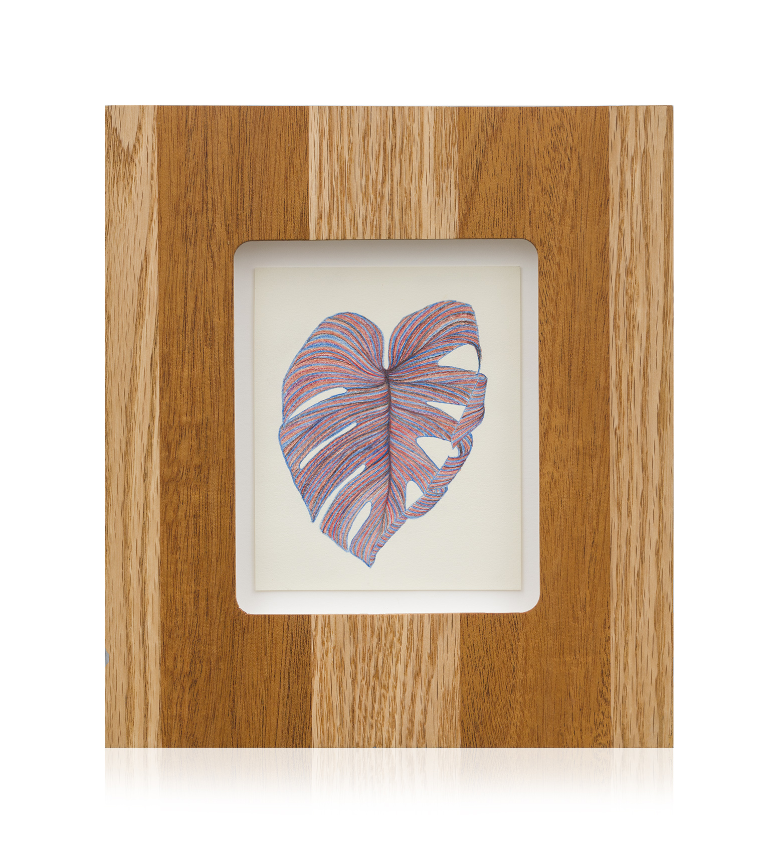 Monstera Drawing Solo 6_1